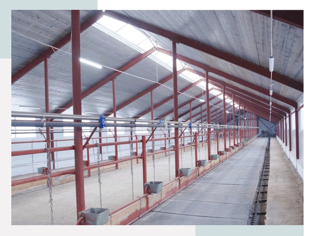 Строительство коровников в Мончегорске от 606 руб.