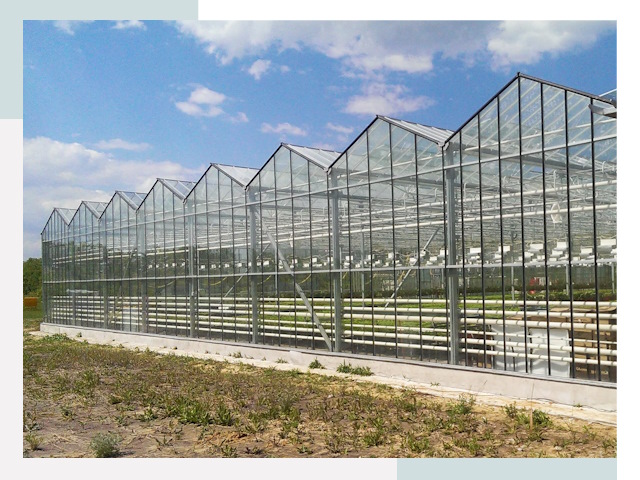 Строительство теплиц в Мончегорск от 606 руб. за м²