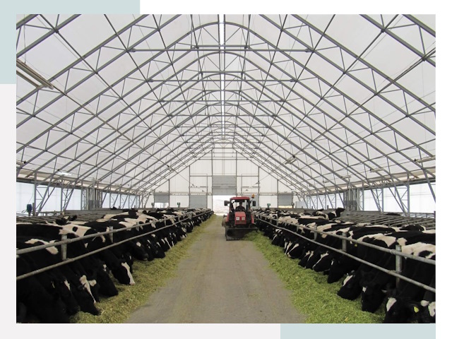 Тентовые коровники в Мончегорске от 606 руб. - Надежно и доступно